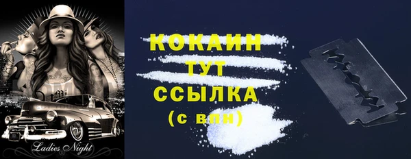 винт Ладушкин