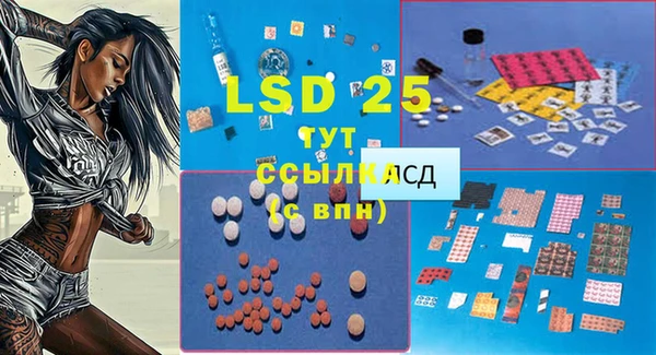 винт Ладушкин