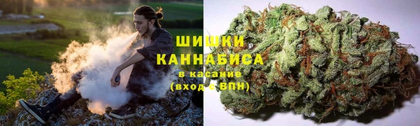 прущий лед Нея